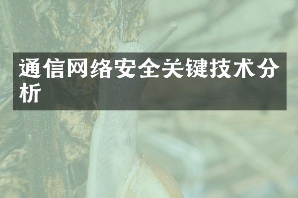 通信网络安全关键技术分析