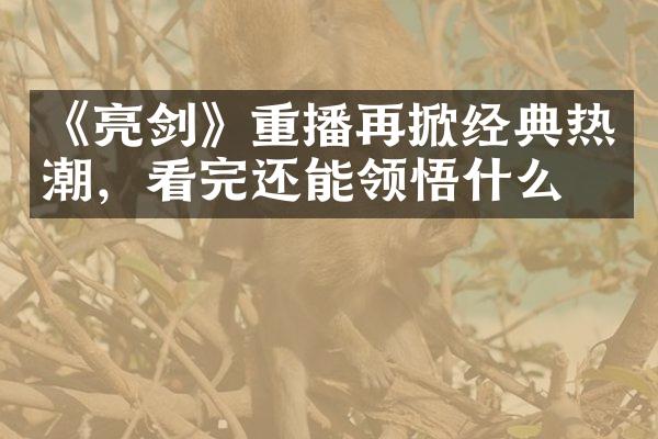 《亮剑》重播再掀经典热潮，看完还能领悟什么？