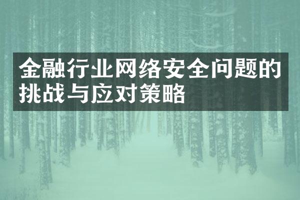 金融行业网络安全问题的挑战与应对策略