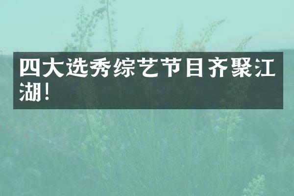 四大选秀综艺节目齐聚江湖！