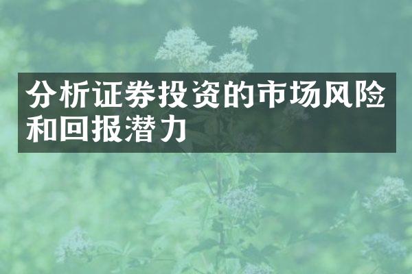 分析证券投资的市场风险和回报潜力