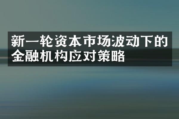 新一轮资本市场波动下的金融机构应对策略