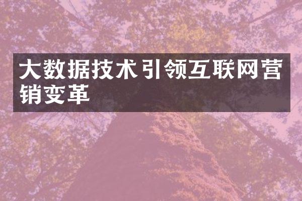 大数据技术引领互联网营销变革