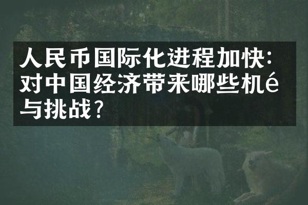 国际化进程加快：对经济带来哪些机遇与挑战？