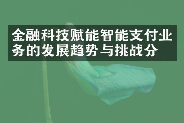 金融科技赋能智能支付业务的发展趋势与挑战分析