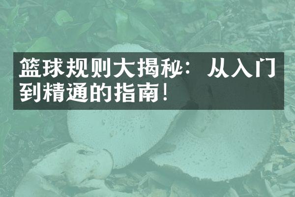 篮球规则大揭秘：从入门到精通的指南！