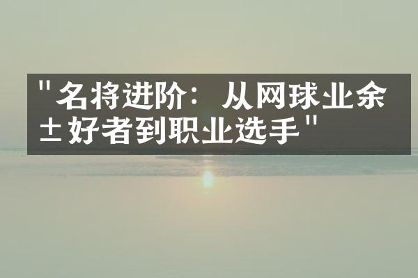 "名将进阶：从网球业余爱好者到职业选手"