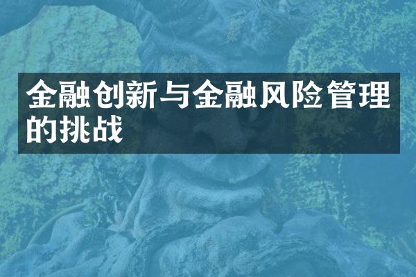 金融创新与金融风险管理的挑战