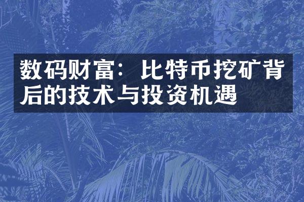 数码财富：比特币挖矿背后的技术与投资机遇