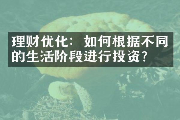 理财优化：如何根据不同的生活阶段进行投资？