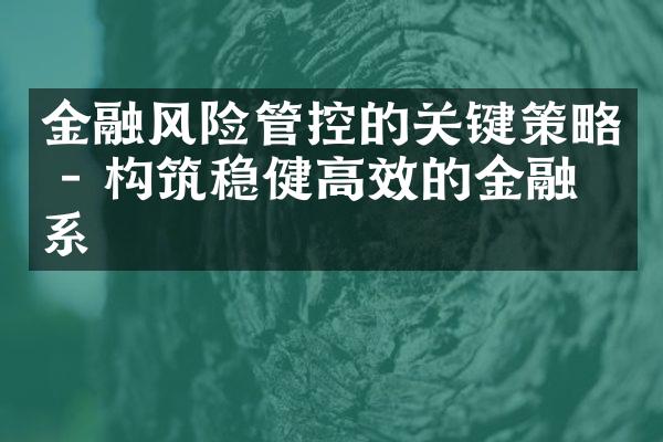 金融风险管控的关键策略 - 构筑稳健高效的金融体系