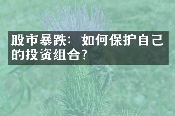 股市暴跌：如何保护自己的投资组合？