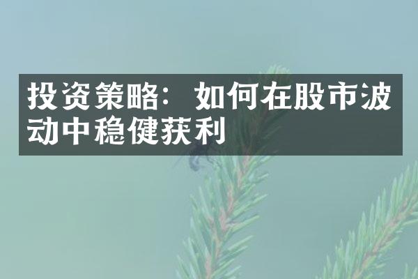 投资策略：如何在股市波动中稳健获利