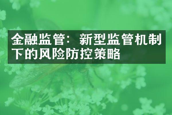 金融监管：新型监管机制下的风险防控策略