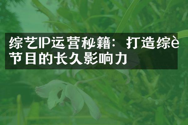 综艺IP运营秘籍：打造综艺节目的长久影响力