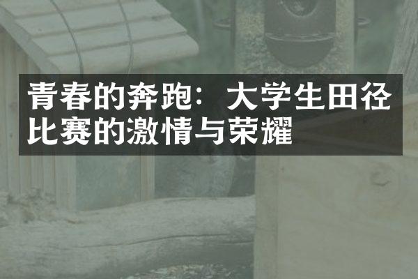 青春的奔跑：大学生田径比赛的激情与荣耀