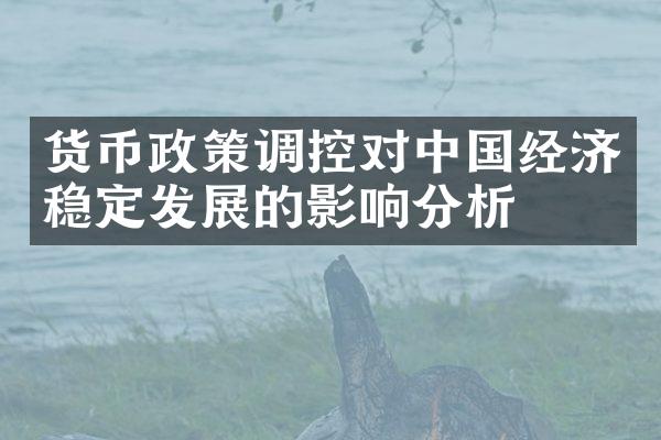 货币政策调控对中国经济稳定发展的影响分析