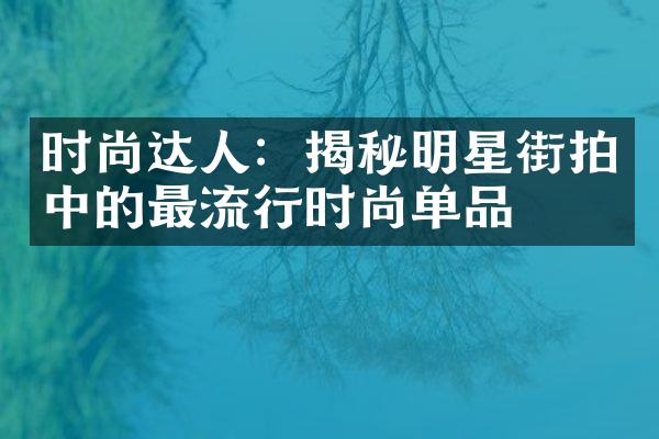 时尚达人：揭秘明星街拍中的最流行时尚单品