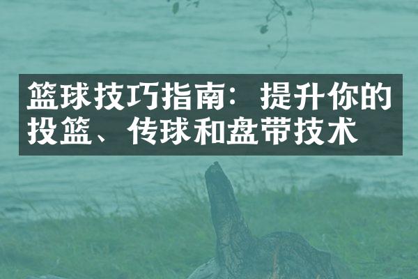 篮球技巧指南：提升你的投篮、传球和盘带技术