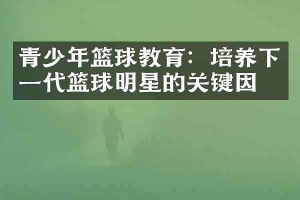 青少年篮球教育：培养下一代篮球明星的关键因素