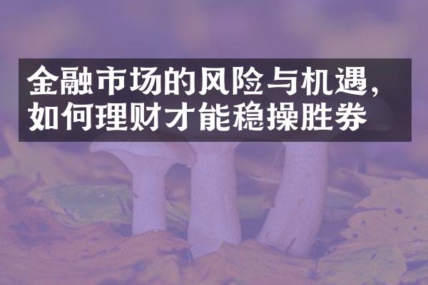 金融市场的风险与机遇，如何理财才能稳操胜券？