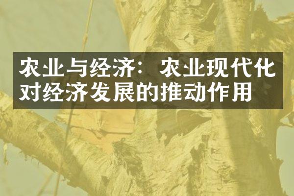 农业与经济：农业现代化对经济发展的推动作用