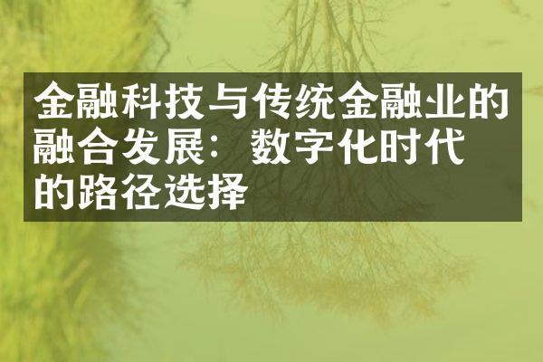 金融科技与传统金融业的融合发展：数字化时代下的路径选择