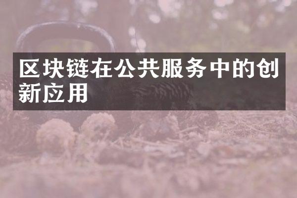 区块链在公共服务中的创新应用