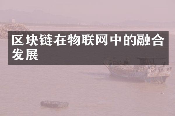 区块链在物联网中的融合发展