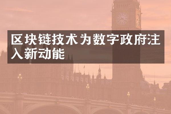 区块链技术为数字政府注入新动能