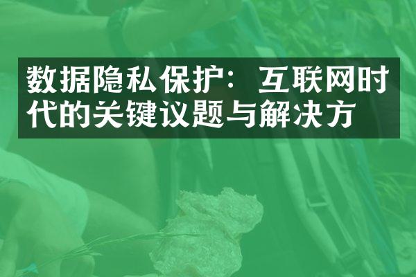 数据隐私保护：互联网时代的关键议题与解决方案