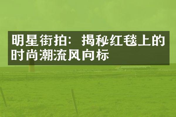 明星街拍：揭秘红毯上的时尚潮流风向标