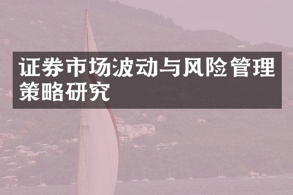 证券市场波动与风险管理策略研究