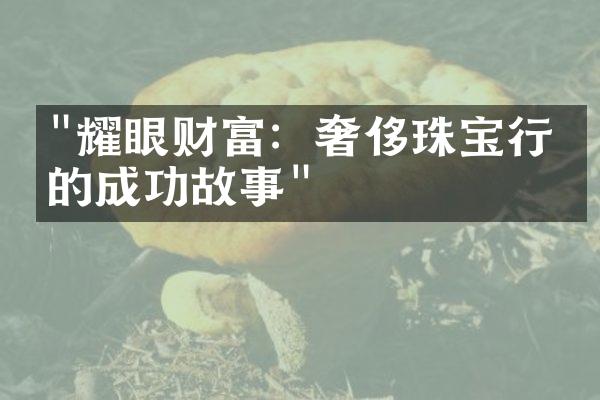 "耀眼财富：奢侈珠宝行业的成功故事"