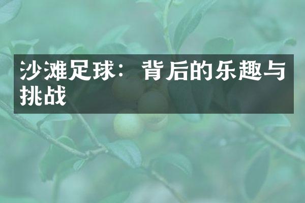 沙滩足球：背后的乐趣与挑战