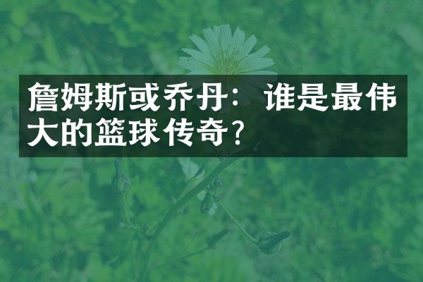 詹姆斯或乔丹：谁是最的篮球传奇？