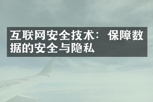 互联网安全技术：保障数据的安全与隐私