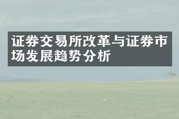 证券交易所改革与证券市场发展趋势分析