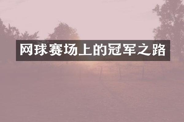 网球赛场上的冠军之路