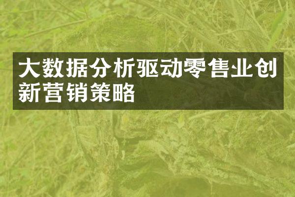 大数据分析驱动零售业创新营销策略