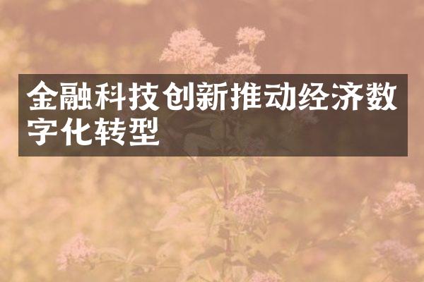 金融科技创新推动经济数字化转型