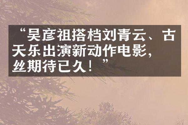 “吴彦祖搭档刘青云、古天乐出演新动作电影，粉丝期待已久！”