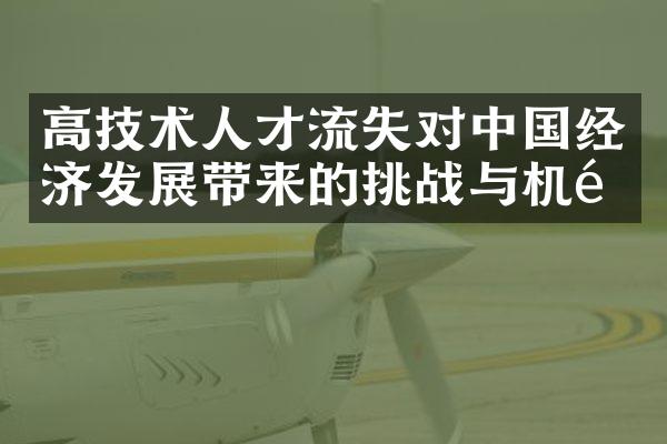 高技术人才流失对中国经济发展带来的挑战与机遇