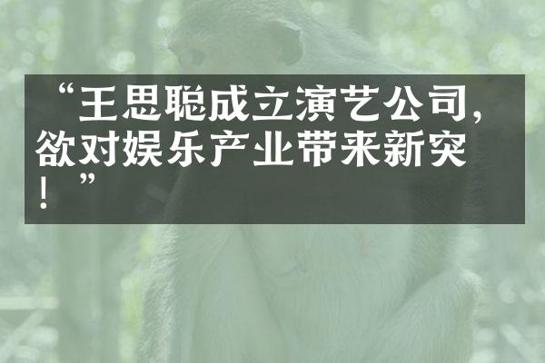 “王思聪成立演艺公司，欲对娱乐产业带来新突破！”