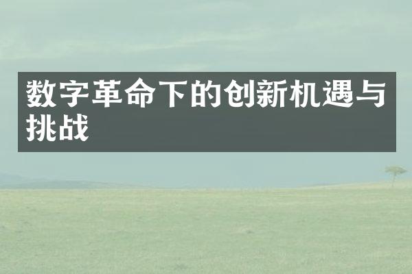 数字革命下的创新机遇与挑战