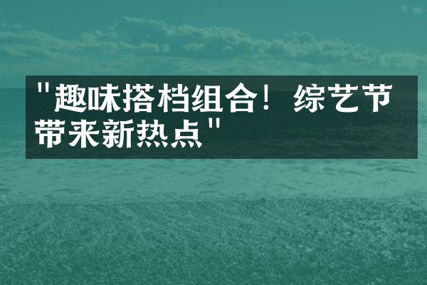 "趣味搭档组合！综艺节目带来新热点"