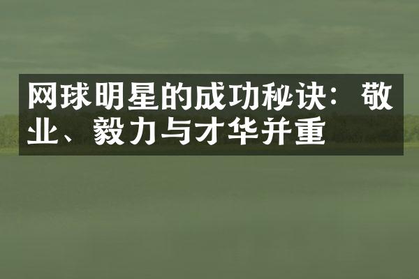 网球明星的成功秘诀：敬业、毅力与才华并重