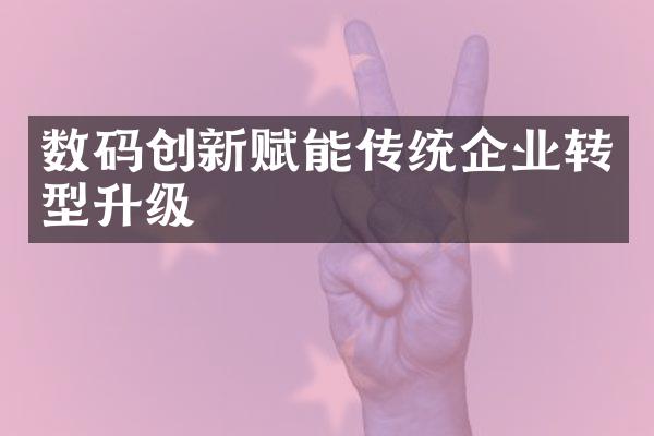 数码创新赋能传统企业转型升级