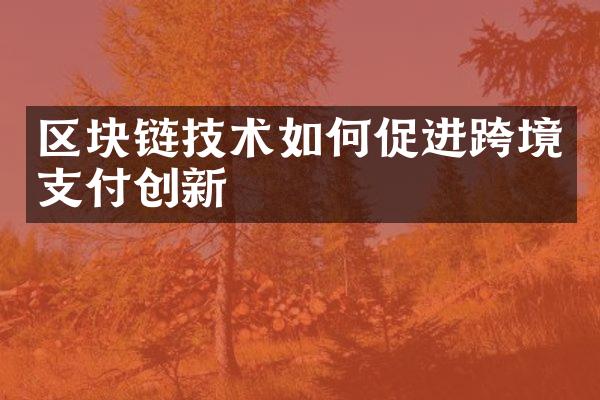 区块链技术如何促进跨境支付创新