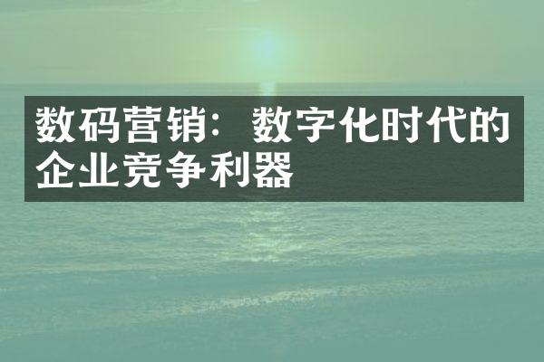 数码营销：数字化时代的企业竞争利器